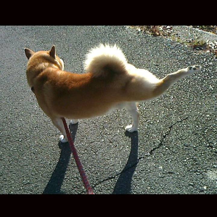 261743b8 70cb 4f9c a6f5 ca17a3f6d7e6 1512821224976