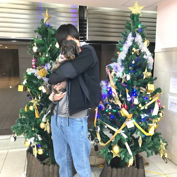 26174c1a 8435 43c2 9f4b 0bb9414e35d3 1545663739533