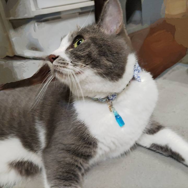 26174f78 4ea3 46f1 9539 1e96718bed32 1722260860598