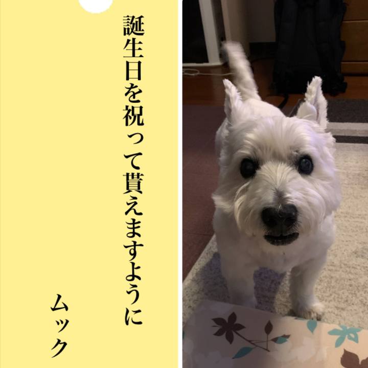 26176cbb 8415 4309 9b4e 8a77a386669c 1688731105154