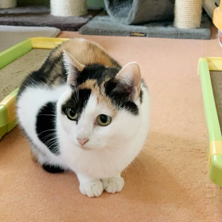 26177d8f d6fa 4021 9b4e 5e8216a3003a 1544927167938