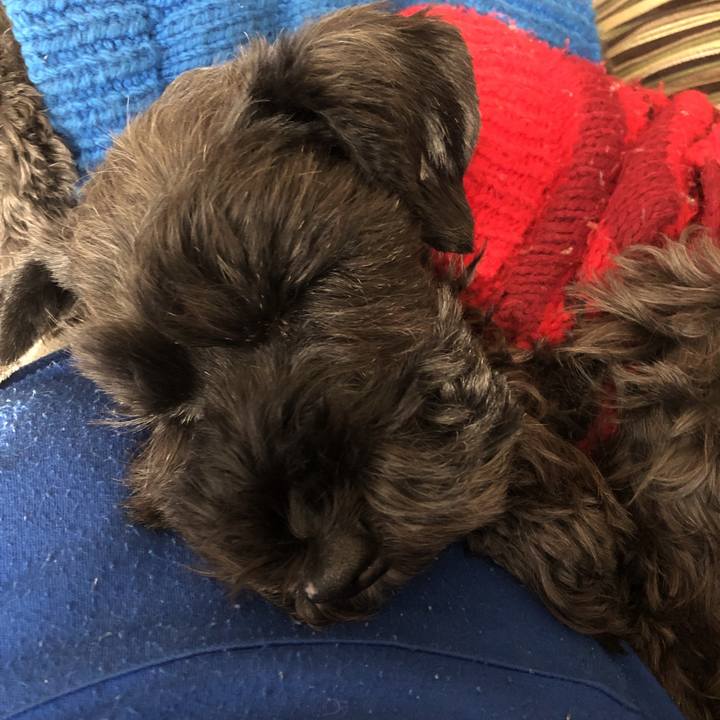 261785e8 c9db 4244 af18 8f6252e49b11 1575852360958