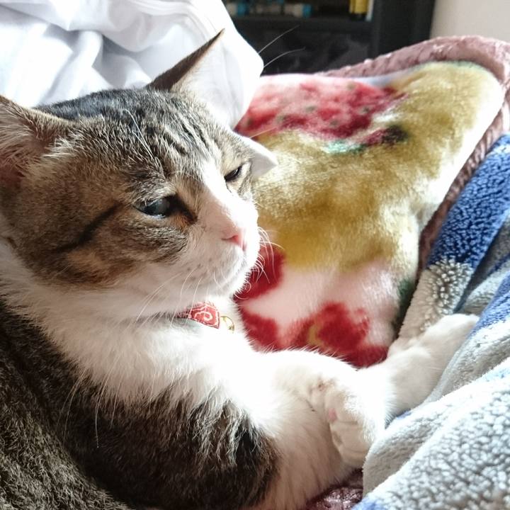 26179ae5 7418 425a 9faf 6e7d200f54cf 1529541832738