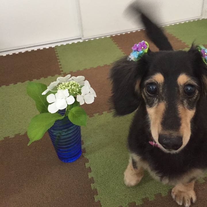 26179c96 48e4 411a a6b6 be98a60846bd 1528330723598