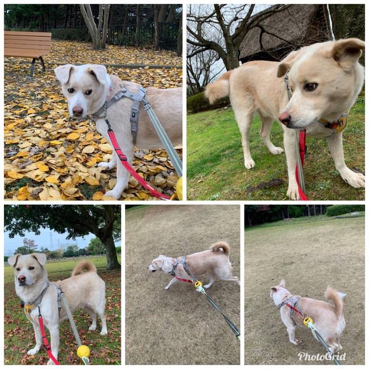 2617b48a 9264 42f9 af75 c0784d4ac47e 1577027112978