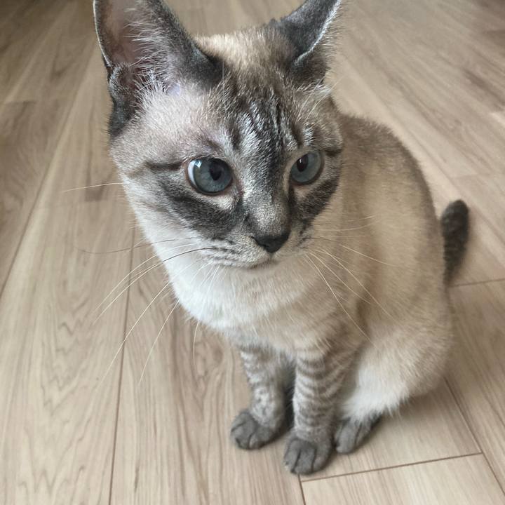 2617dc35 ae58 4b71 ac07 a26d387f9f1d 1749425971909