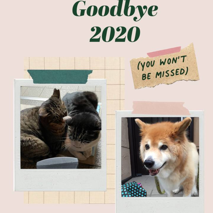 2617fc9e 5b25 4ee4 9f9f 41bcd8058ac6 1609390252872