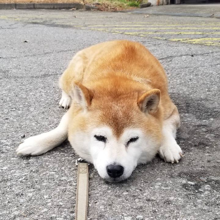 26189194 64cd 40b3 915a 47672ad903c5 1702703894420