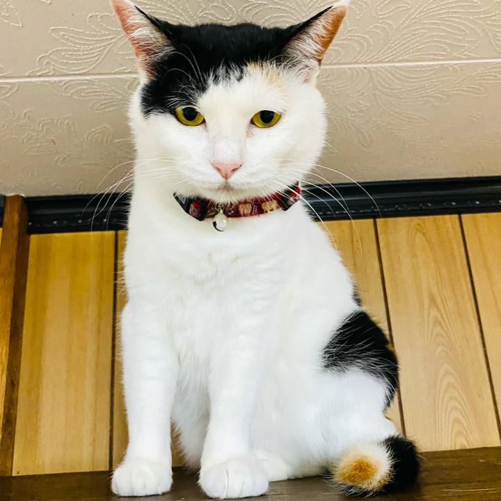 261897e8 8579 467e a39b 17f58fbc1967 1685196124872