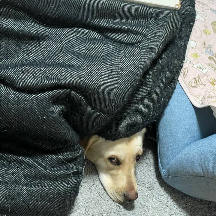 2618ab9f 8ee6 4f6c 8b09 14c3817b7aa9 1647524409510