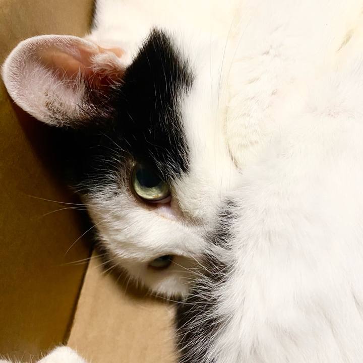 2618c4ed 0136 4e53 a487 6cef5690886f 1756176194965