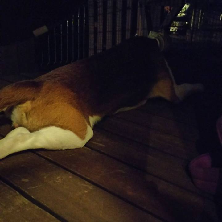 2618c6b7 b8fb 4669 9b0b d36f6d037cc2 1567855263455