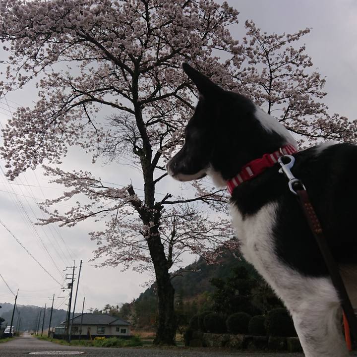 2618d1e9 8ad8 4bb8 bff8 5d939737452a 1616978687354