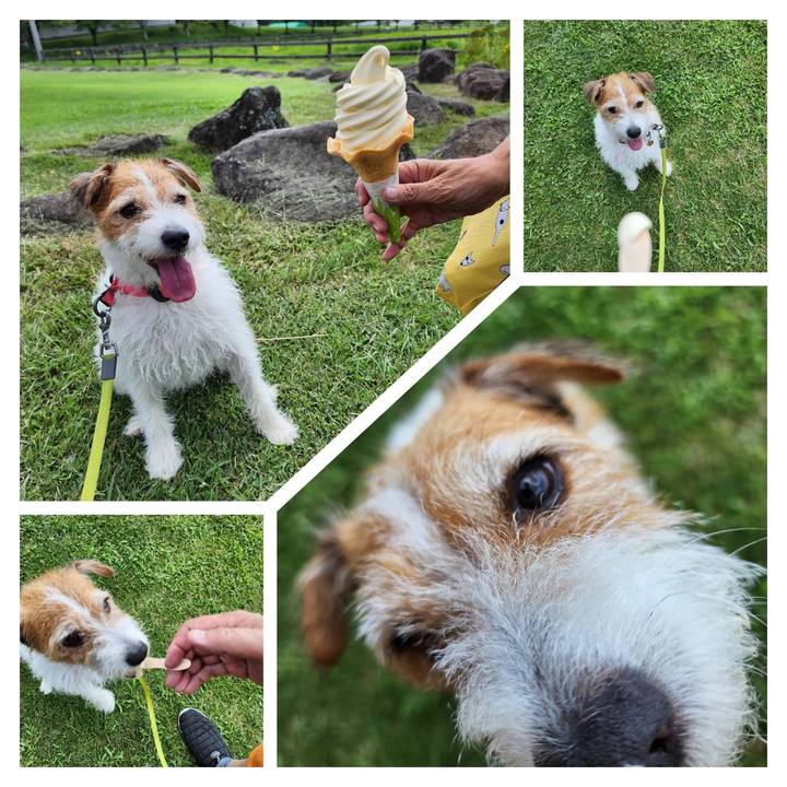 2618ebd4 e31b 4bf9 982d d3565957cfe7 1723097085279