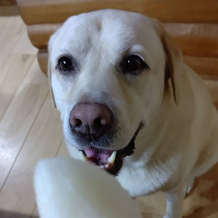 2618ec54 5836 492d 8155 934c5e833ca3 1661512952281