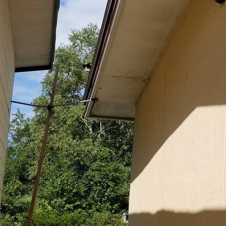 2619a5ff 4ef4 4a73 b7d4 44be956deca5 1630595996385