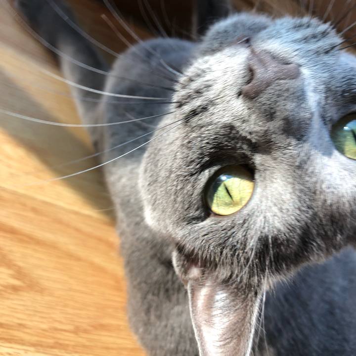 2619b2e0 26e7 4a89 9ec9 199fc3a8d491 1571554904444