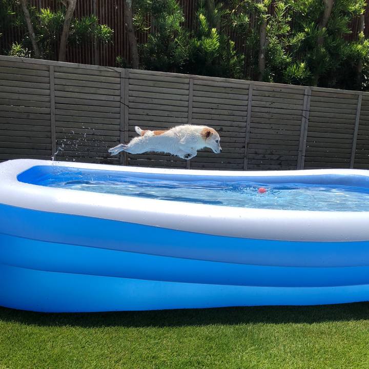 2619c707 78f6 406c b467 d2f63bffd652 1531642154858