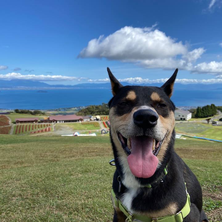 2619ceed 69ce 4bcc a044 e06fbed692df 1633518919619