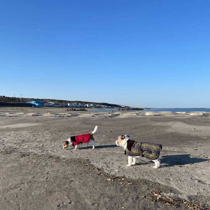 2619f6ec 1e14 4f62 bdbc 57b1225a5cda 1678839344230