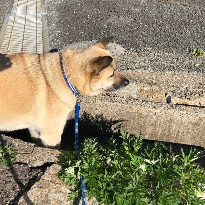 2619f855 9328 4b9d 8039 8f312794a36d 1557233857316