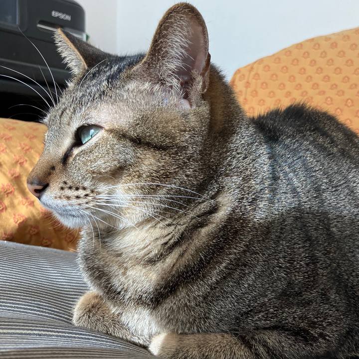 2619fc2e fbfd 46b9 99f3 1dde28b28f6d 1767185725037