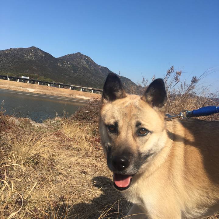 2619ffbc 9b60 4461 8f91 de7c522b0eb5 1518927461702