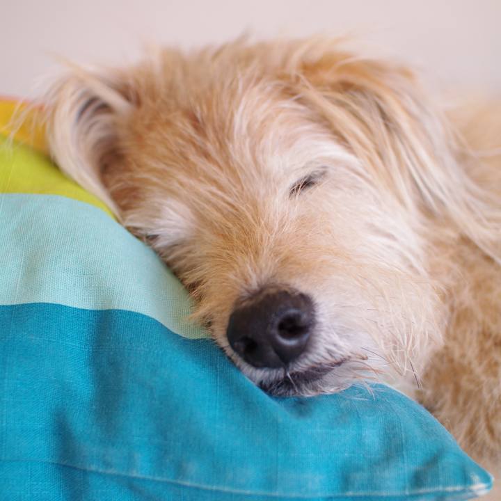 261a0d1d 22da 4984 b9ac bdb3a8818038 1607392714442