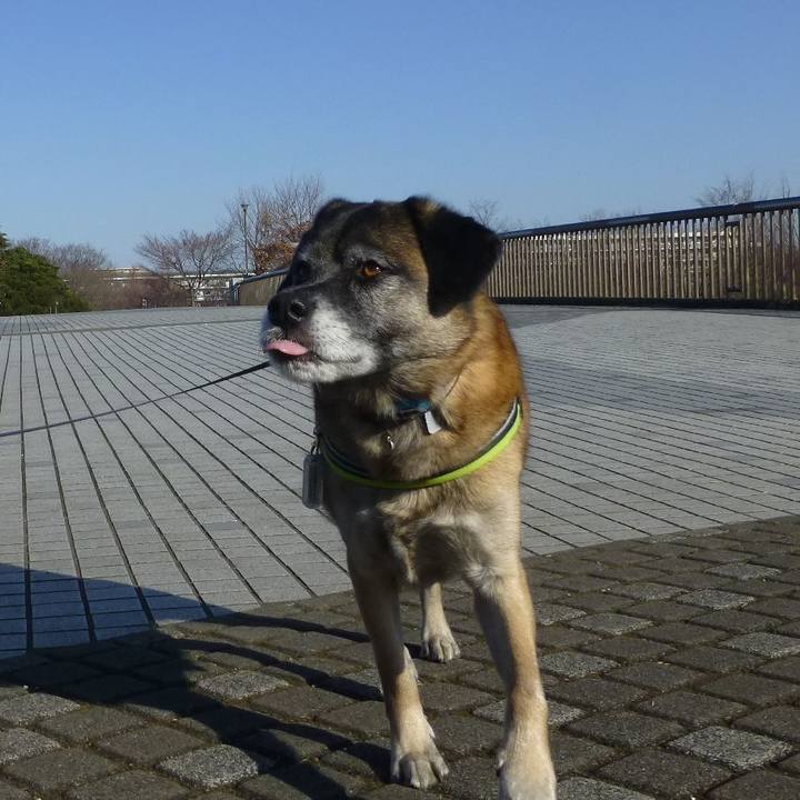 261a4cfd 6235 42eb b879 b73900793c7b 1581125063870