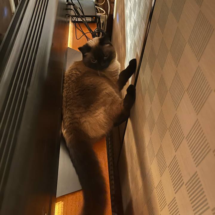 261a7db6 27a8 4080 b4f4 f36cebaa06c4 1687518917697