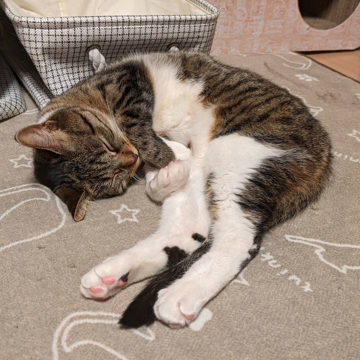 261a7df5 78e6 457f 98a6 26ec17a292ae 1707828335419