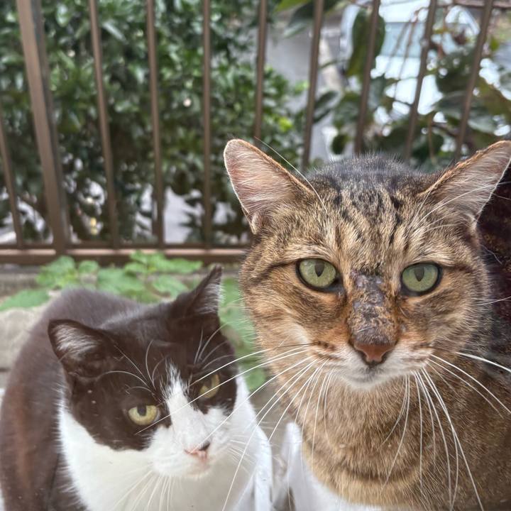 261aad04 6020 4a4d 8348 3f23668950e7 1761087591407