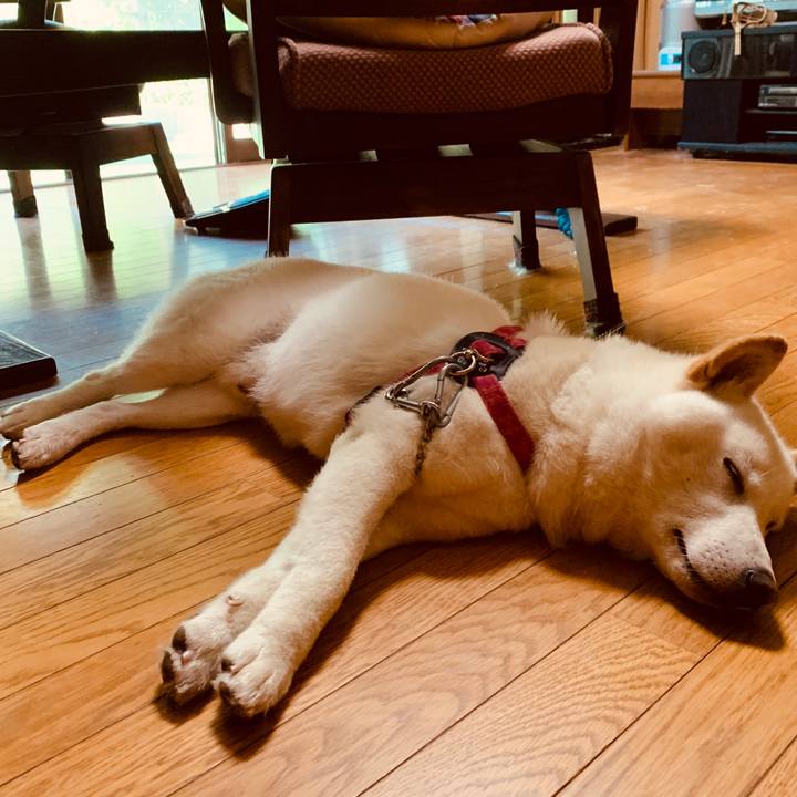 261ab8ea 3770 4f7e ba38 85e8f7fb5869 1564869502658