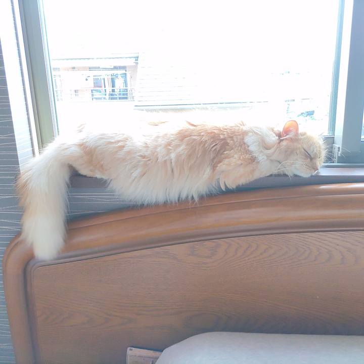 261ae371 3141 43af a6b0 225bac581c37 1720569440289