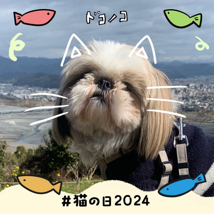 261affb1 db9c 4e46 a739 9c9f00602f97 1708580957866