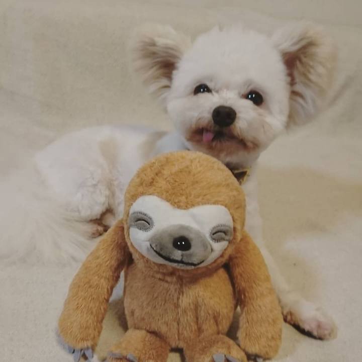 261b1df4 4a26 4bd0 9561 a87a43adceb7 1551408997531