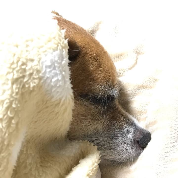 261bb313 136f 441a beda 7c3339442eb5 1543412464854