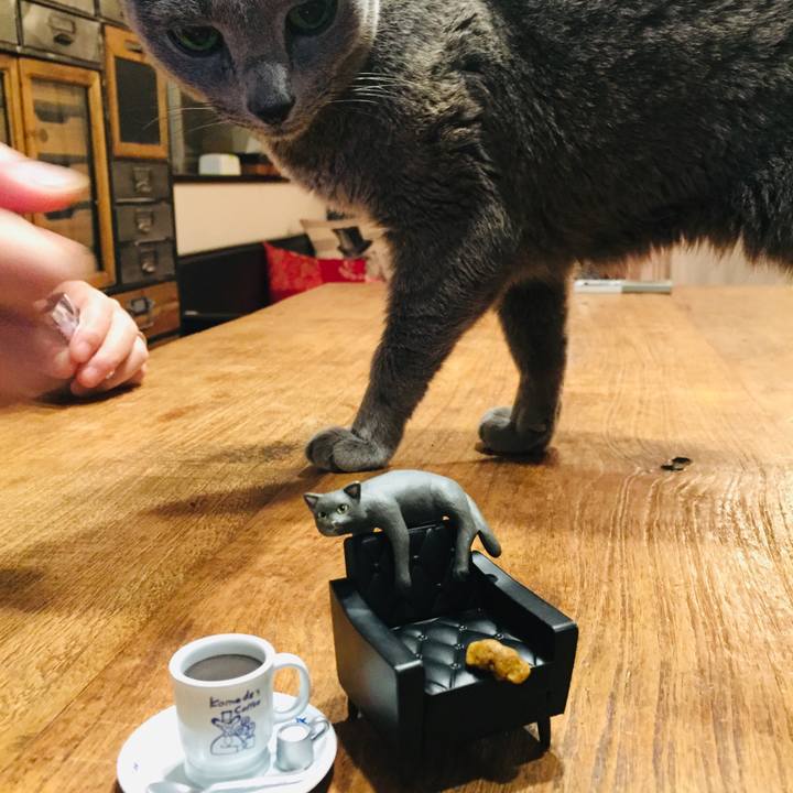 261bb6a6 3fda 4e5e 8c0e 8c0a2ff56efd 1575501110199