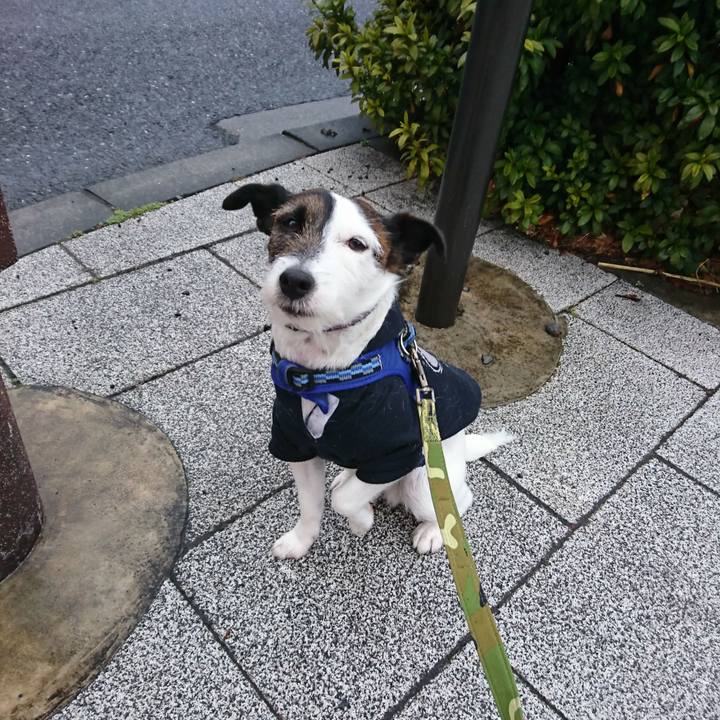 261bc1e6 5b3b 4b1f 9d2b 955e32f0c811 1519337564916