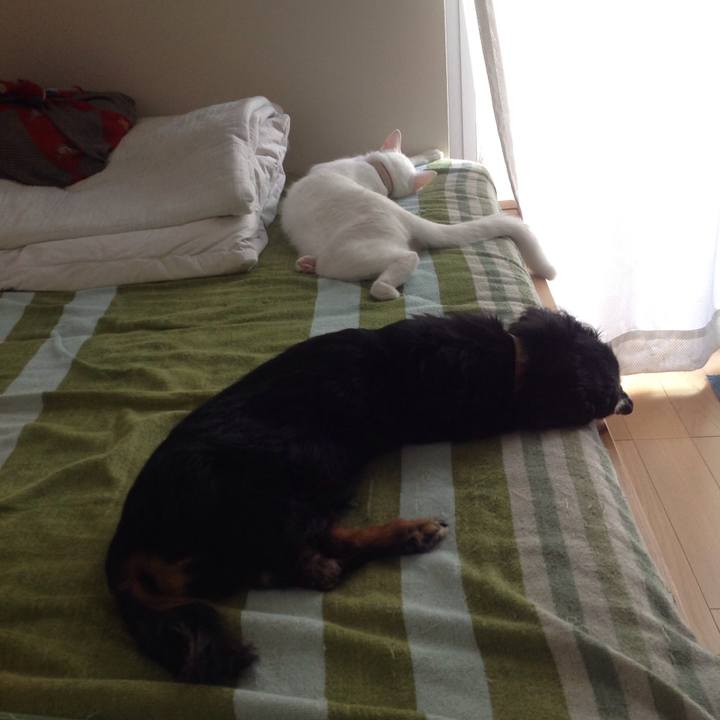 261c02db e432 4312 bd54 2954e32a3338 1626509127746