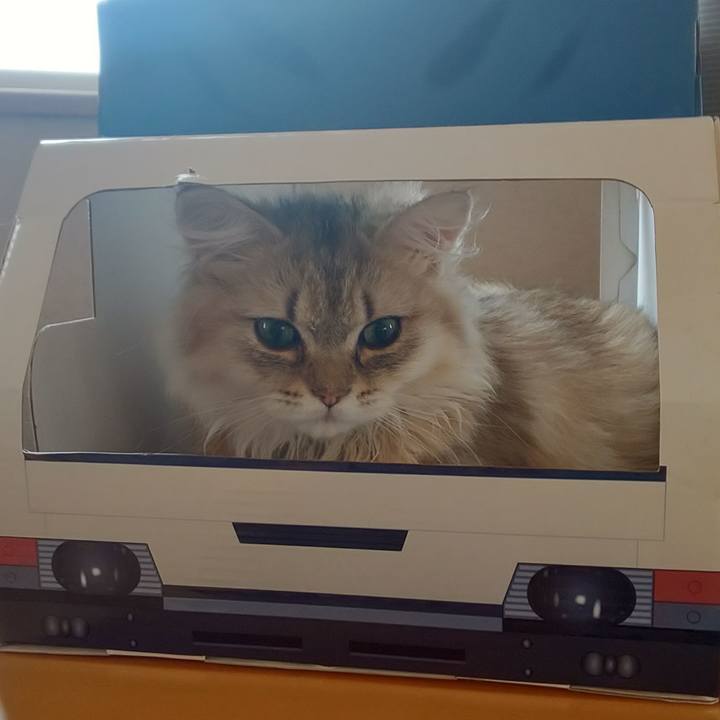 261c3346 7323 42bb ae25 9552aedb05ed 1563768500656