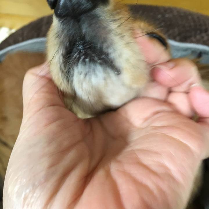 261caf1a 0193 4c5b 9db3 7cc14b6a1952 1524227471787