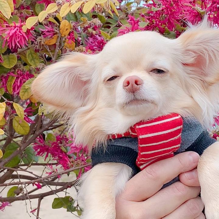 261cc09f fdb0 4a82 9cb7 d104b959cf56 1616473220969