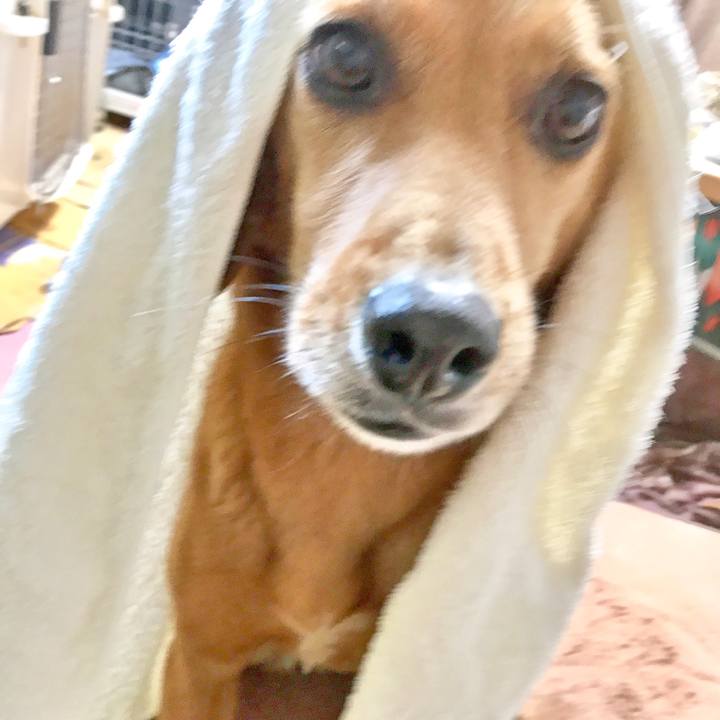 261cc31f 2e81 4c57 ac0f 86854897ee58 1524020830187