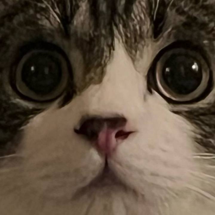 261ce941 5c73 4813 bfb1 35f2e12e4249 1716595978107