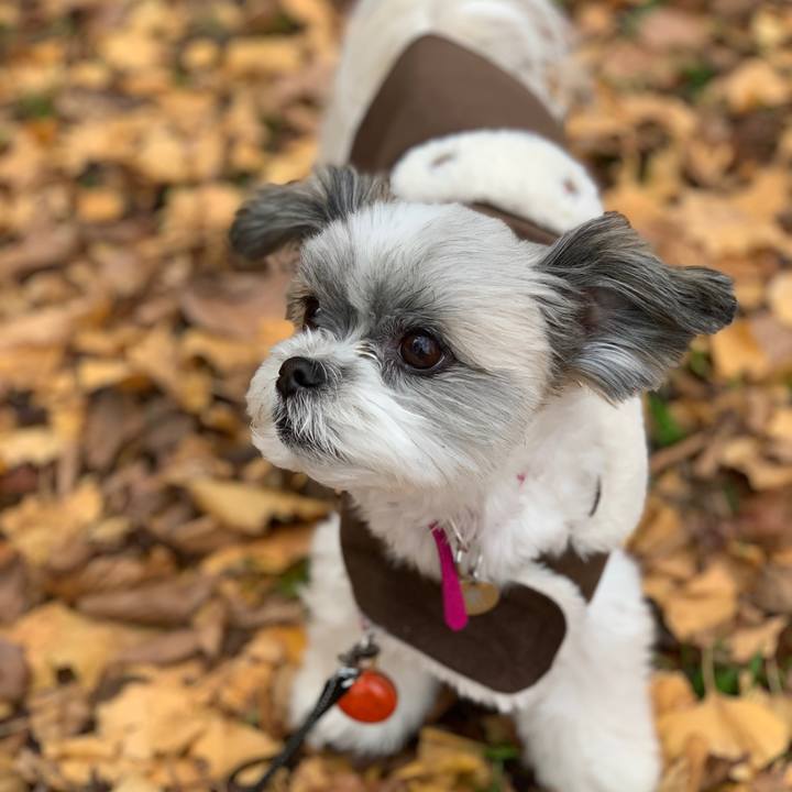 261ceedc 5f0d 40f0 927c 4d94ae0df4ff 1607437557367