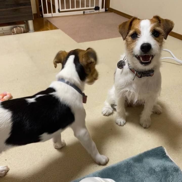 261d041f 3c93 495a a657 ad277b26c0d6 1747257657105