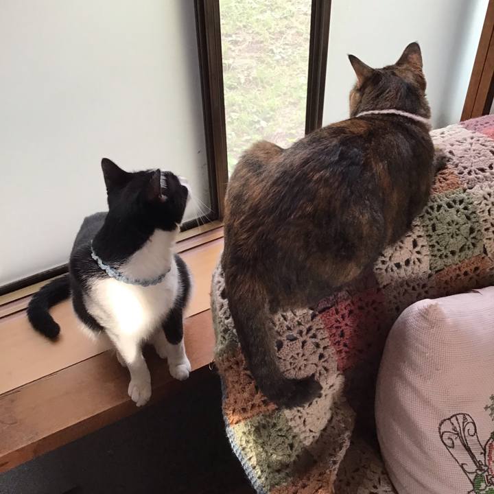 261d1b34 0d45 4c68 ae1f bdc819a32097 1662203430318