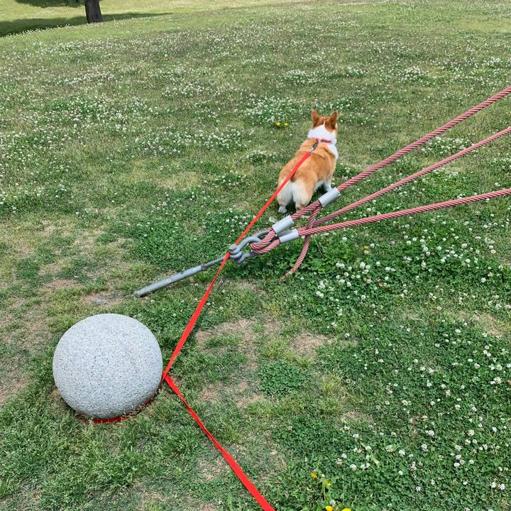 261d1e0b 63b1 4cb1 a072 790943e6a275 1557890596767