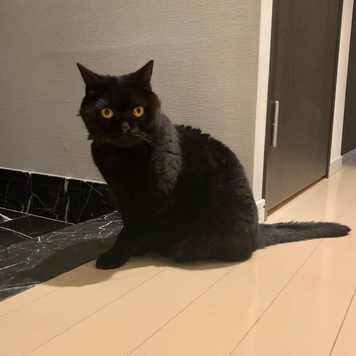 261d2e7c 1771 4ba0 87a4 60e17acbe0e6 1718959830233